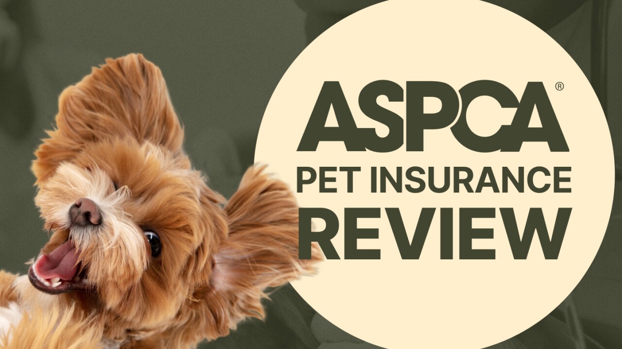 ASPCA-Pet-Health-Insurance