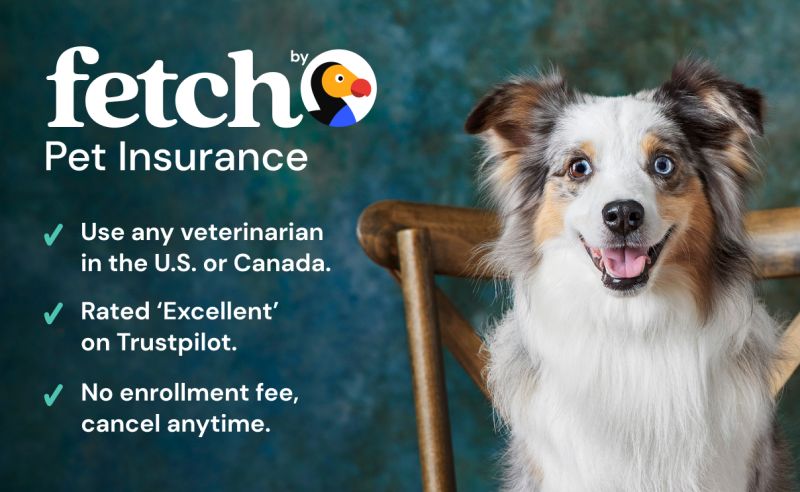 Fetch-Pet-Insurance.