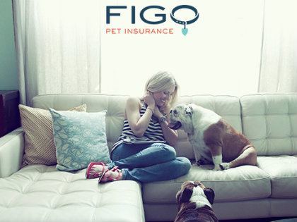 figo-pet-insurance