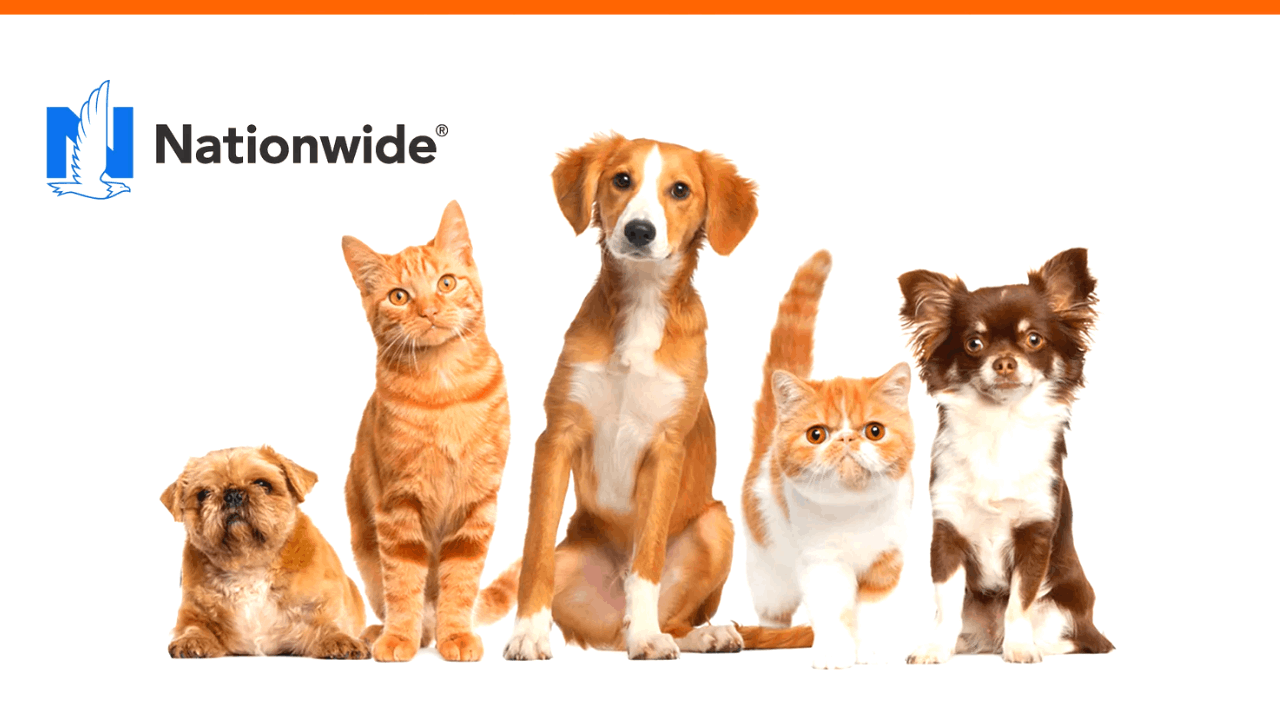 nationwide-pet-insurance