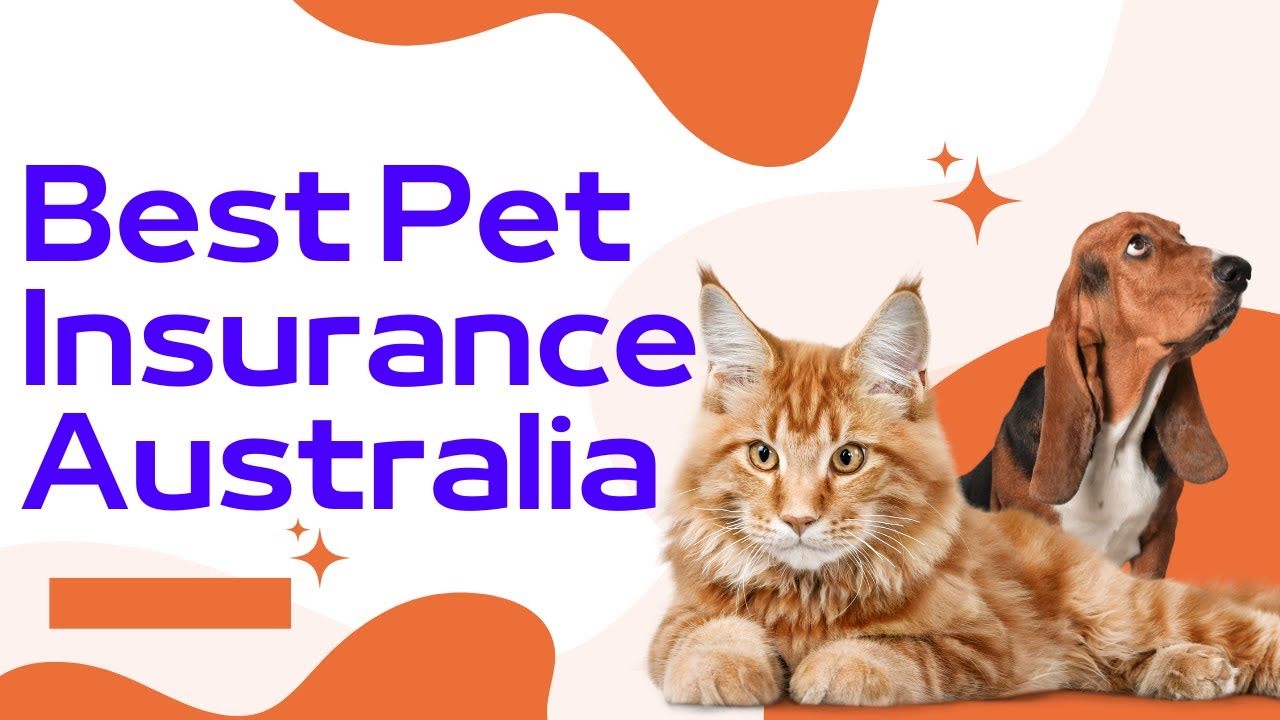 10 Best Pet Insurance Providers in Australia