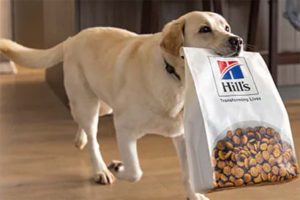 Hill's Pet Nutrition