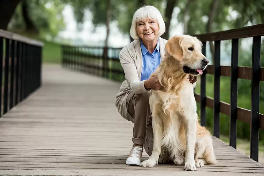The Benefits of Pet Ownership for Seniors as a Therapy: Enhancing Health, Happiness, and Well-being - Mnepo